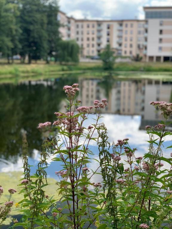 Europa22 Apartament "Sen Jak W Pieciogwiazdkowym Hotelu" - Centrum Miasta Tomaszów Mazowiecki المظهر الخارجي الصورة